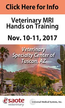 Veterinary MRI Hands On Training
