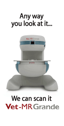 Vet-MR Grande XL rotating scanner