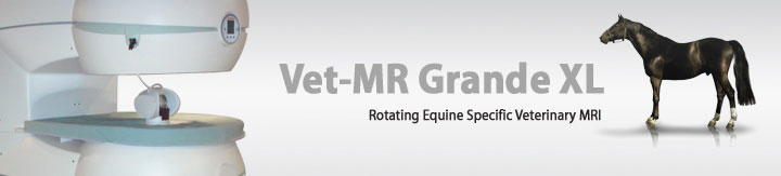 Vet-MR Grande XL, World's first equine specific rotating veterinary MRI