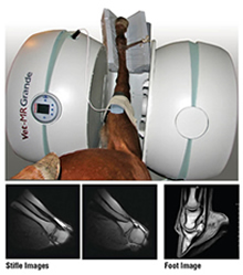Vet-MR Grande XL in a rotated position scanning a horses leg with sample images