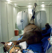 Vet-MR Grande XL in use in a rotated position